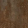 Magnétik rust